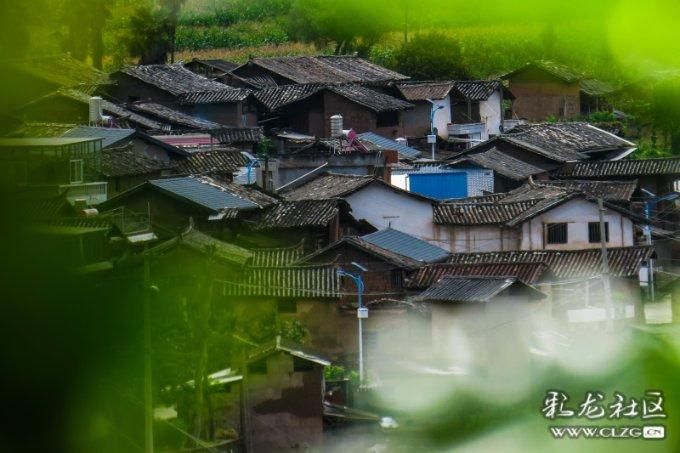 2024年春运直击:大客流呈现新活力